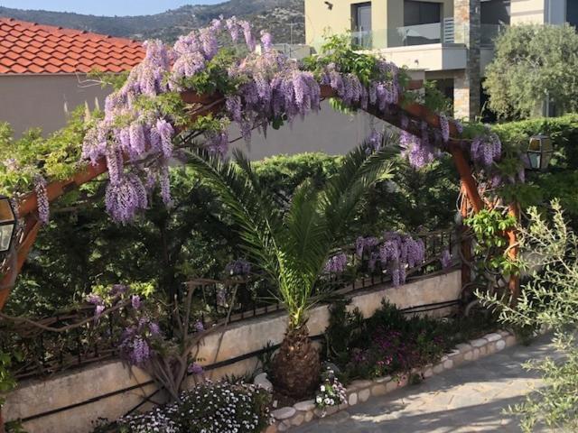 Aegean Villas Potos Zewnętrze zdjęcie